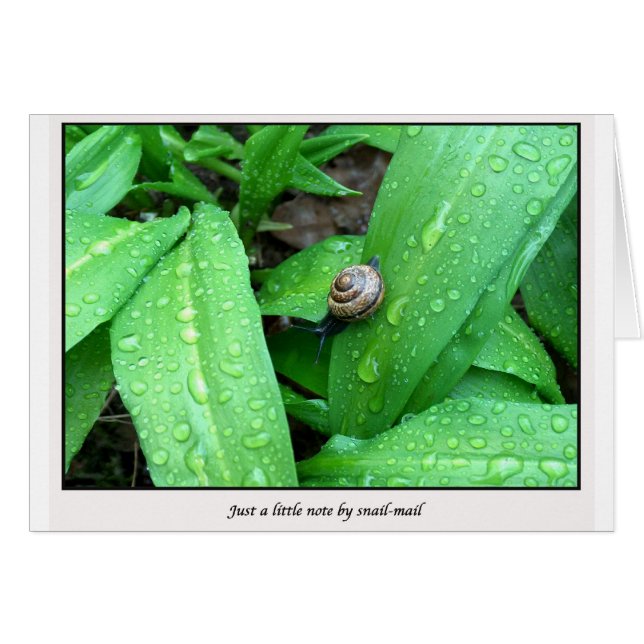 カタツムリ郵便 (正面横)