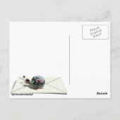 カタツムリ郵便 ポストカード (裏面)