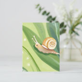 カタツムリ郵便 | 水彩自然 ポストカード (スタンド正面)