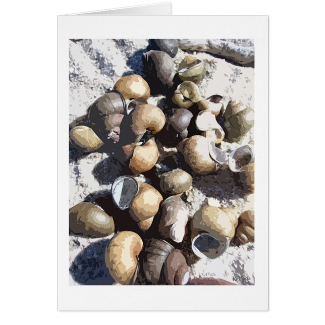 カタツムリ (正面)