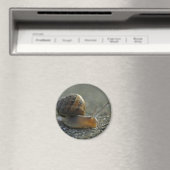 カタツムリ1磁石 マグネット (インサイチュ (食洗機))