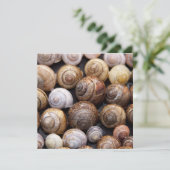 カタツムリ カード (スタンド正面)