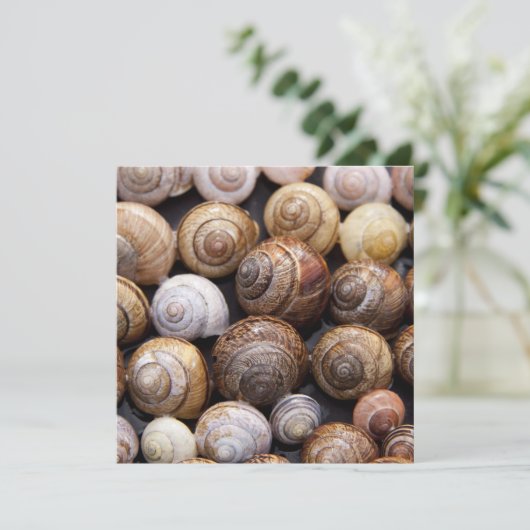 カタツムリ カード (スタンド正面)