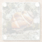 カタツムリ ガラスコースター (裏面)