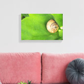 カタツムリ キャンバスプリント (インサイチュ (リビング))