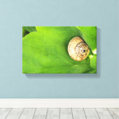 カタツムリ キャンバスプリント (インサイチュ (ウッドフロア))