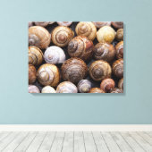 カタツムリ キャンバスプリント (インサイチュ (ウッドフロア))