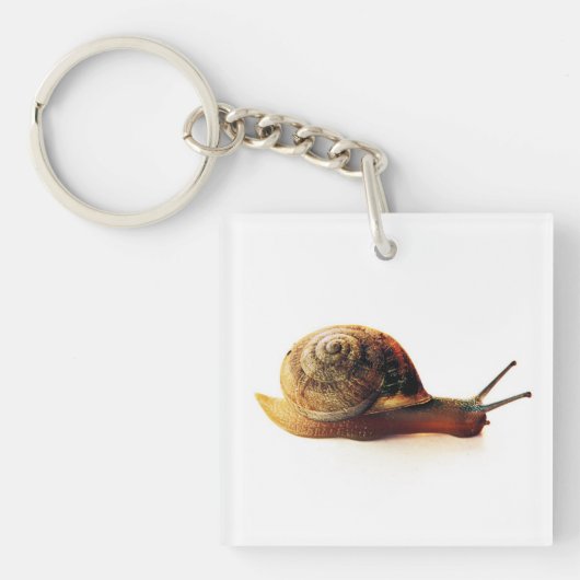 カタツムリ キーホルダー (正面)