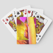 カタツムリ トランプ (裏面)