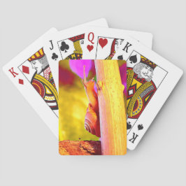 カタツムリ トランプ