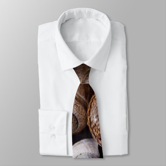 カタツムリ ネクタイ (タイ)