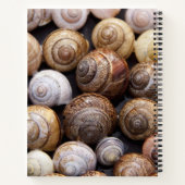 カタツムリ ノートブック (裏面)