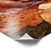 カタツムリ フォトプリント            (角)