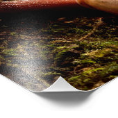 カタツムリ フォトプリント            (角)