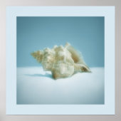 カタツムリ – ポスター (正面)