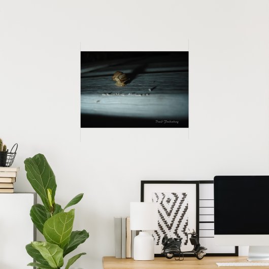 カタツムリ ポスター (ホームオフィス)