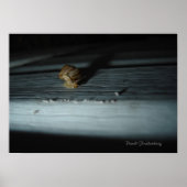 カタツムリ ポスター (正面)