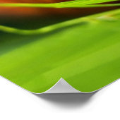 カタツムリ ポスター (角)