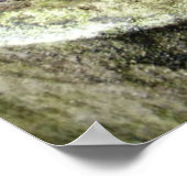 カタツムリ ポスター (角)