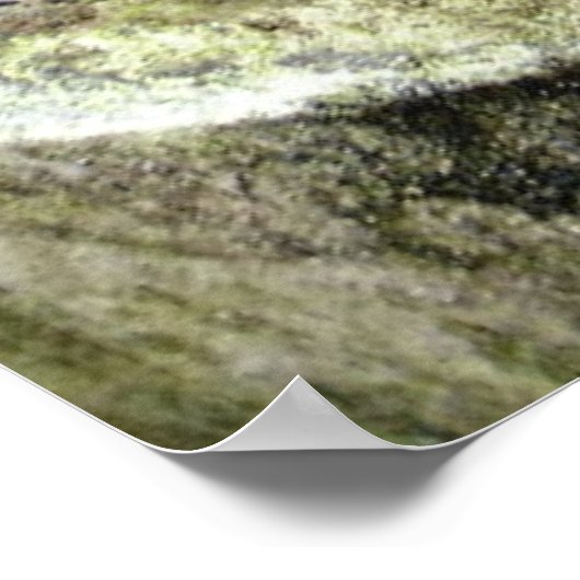 カタツムリ ポスター (角)