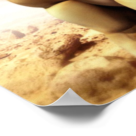 カタツムリ ポスター (角)