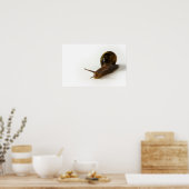 カタツムリ ポスター (キッチン)