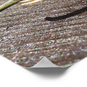 カタツムリ ポスター (角)