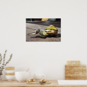 カタツムリ ポスター (キッチン)