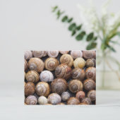 カタツムリ ポストカード (スタンド正面)