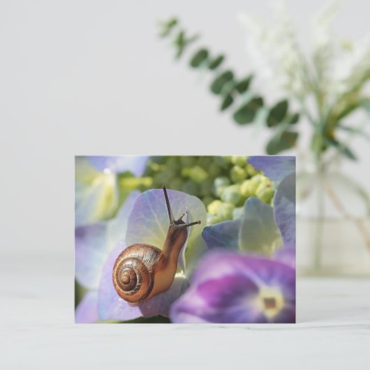 カタツムリ ポストカード (スタンド正面)