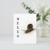 カタツムリ ポストカード (スタンド正面)