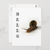 カタツムリ ポストカード (正面/裏面)