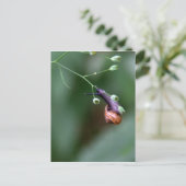 カタツムリ ポストカード (スタンド正面)