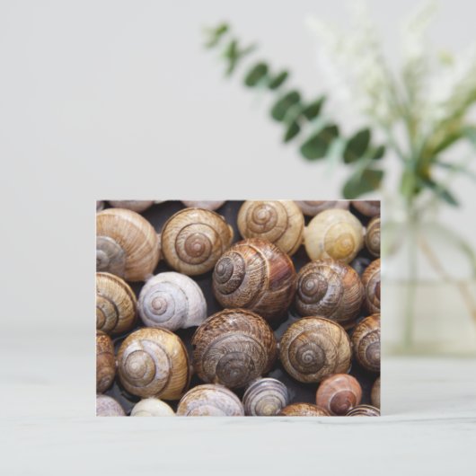 カタツムリ ポストカード (スタンド正面)