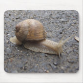 カタツムリ マウスパッド (正面)