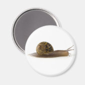 カタツムリ マグネット (正面/裏面)