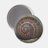 カタツムリ マグネット (正面/裏面)