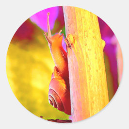 カタツムリ ラウンドシール