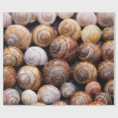 カタツムリ ラッピングペーパー (フラット)