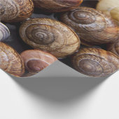 カタツムリ ラッピングペーパー (角)