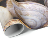 カタツムリ ラッピングペーパー (ロールコーナー)