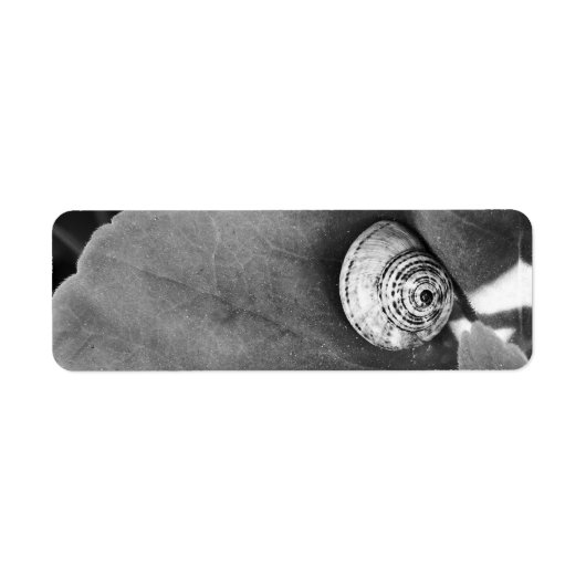 カタツムリ ラベル (正面)