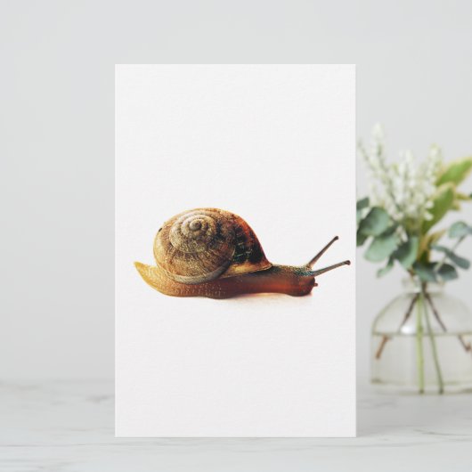 カタツムリ 便箋 (スタンド正面)