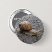 カタツムリ 缶バッジ (正面&裏面)