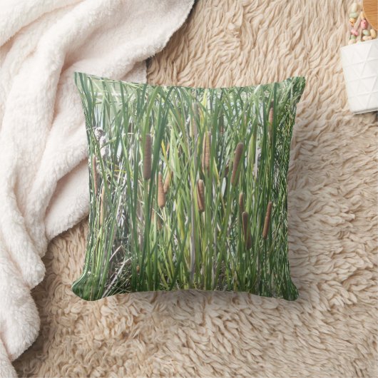 カタテール クッション (ブランケット)