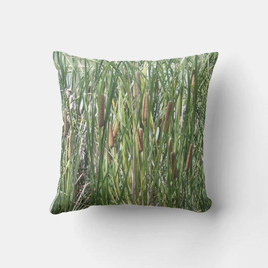 カタテール クッション (裏面)