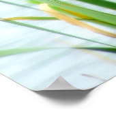 カタテール ポスター (角)