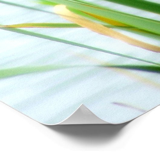 カタテール ポスター (角)