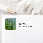 カタテール ラベル (インサイチュ)