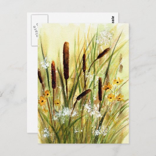 カタテ ポストカード (正面/裏面)